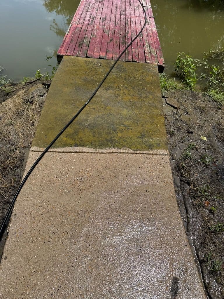 Project Revitalize Your Pathway with Expert Concrete Cleaning image